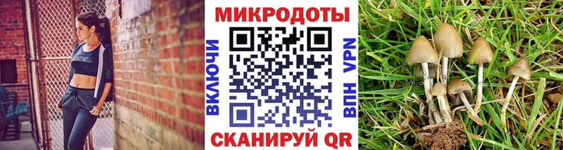 Галлюциногенные грибы ЛСД  Купить закладки  Сосновый Бор 