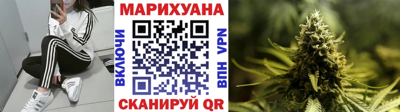 Купить где  Сосновый Бор  Каннабис сатива 